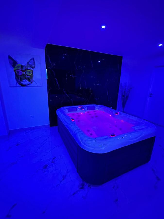 Appartement Cosy Jacuzzi Spa 70M2 Châtenois Eksteriør billede